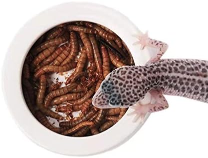 Reptile Food Water Bowl, 2 pcs Ceramics Worm Dish,Anti-Escape Reptile Water Feeder,Mealworm Bowl for Lizard Gecko Bearded Dragon, (S,M,L) (Medium)