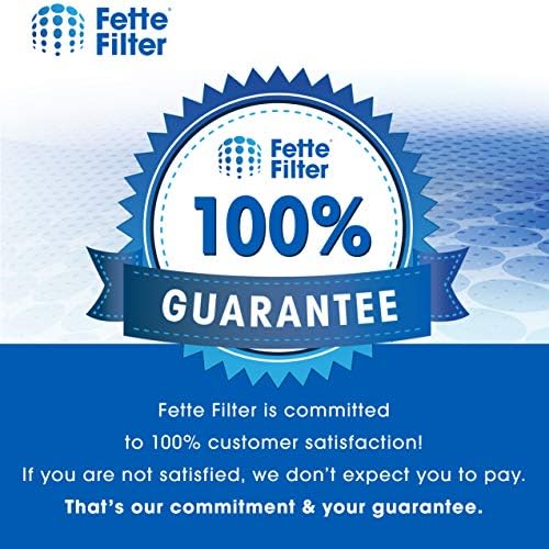 Fette Filter - Premium Filter C HEPA Compatible with Honeywell Filter C for Model HHT-011 HHT-080 HHT-080/1 HHT-081 HHT-085 HHT-090 HHT-145 HHT-145/9 HHT-149 16200 16216 Part # HRF-C2 HRF-C1