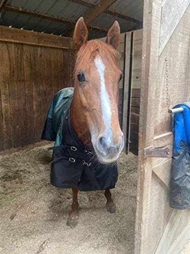 STORM SHIELD Contour Collar Extreme II Horse Turnout Blanket | Contour Collar | 1680D Durable Outer Fabric | Seam Sealed | Weather Protection | Winter Horse Blanket with Multiple Warmth Levels