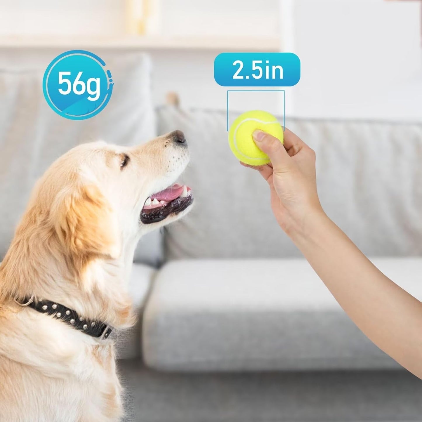 Prime Pets Tennis Balls for Dogs, Non-Squeak, 12 Pack, Thick Bouncy Dog Balls, Dog Toy Balls for Indoor Outdoor Play, Fetch Toys for Medium, Large Dogs