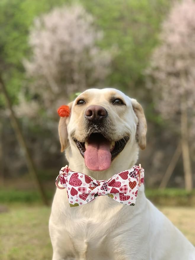 Lionheart glory Heart Dog Collar, Adjustable Dog Collar with Bowtie, Pet Gift Collar for Dog Soft Bowtie Dog Collars for Medium Dogs
