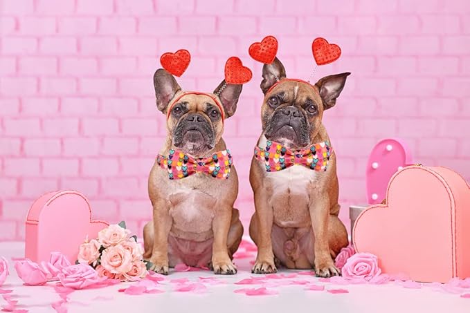 Lionheart glory Valentine's Dog Collar, Dog Collars with Bow, Pet Collar Adjustable Dogs Bowtie Pet Collars for Large Dogs