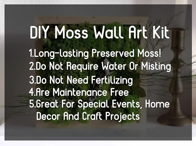 Preserved Pole Moss Pillow Bun Cushion Natural Green Decorative Real Natural Green DIY Kit Terrariums Gardenning Art Wall Decor Florist Decor Easter Table Decor Wedding(13.5 sq.ft., Green-B)