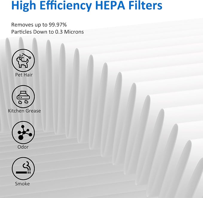 2 Pack MK01 MK06 True HEPA Replacement Filter Compatible