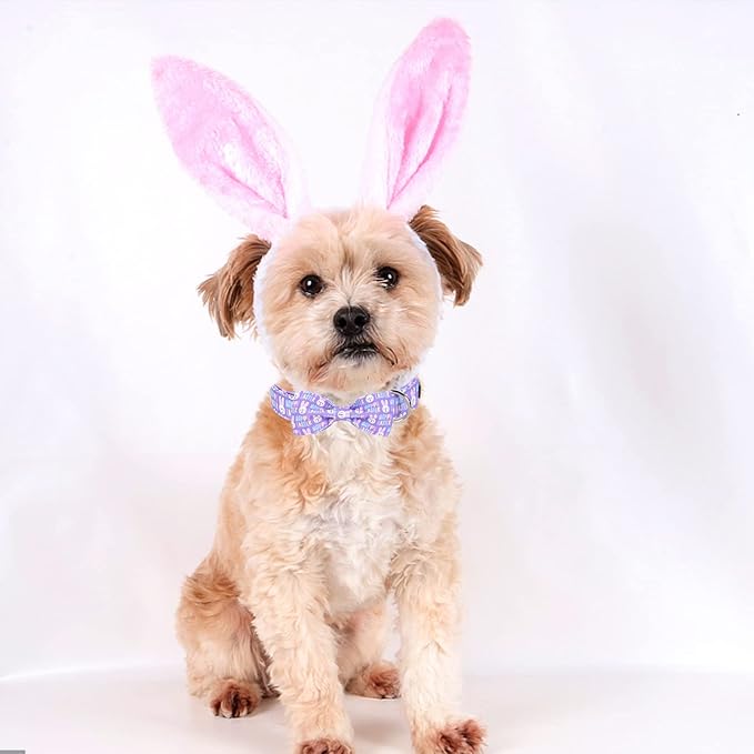 MR. CHUBBYFACE Easter Dog Collar Rabbit Puppy Collar with Bow, Adjustable Pet Collar Bowtie for Small Medium Large Dogs