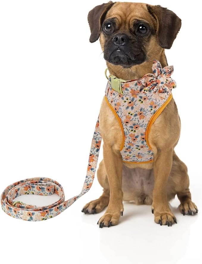 Beirui Cute Girl Dog Collars, Harnesses & Leashes Set - Adjustable Dog Collar and Leash Set with Flower - Soft Mesh Dog Vest Harness for Puppies Small Medium Dogs (Orange,M)