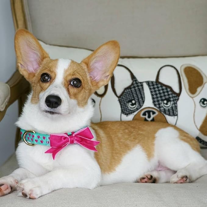 Blueberry Pet Dog Collar with Bowtie, Neck 14.5-20" Adjustable for Medium Dogs, Lust Red Heart Design, Valentines Day Girl Dog Collars, Non-Stretch, Secure Fit, Puppy & Female Dog Accessory