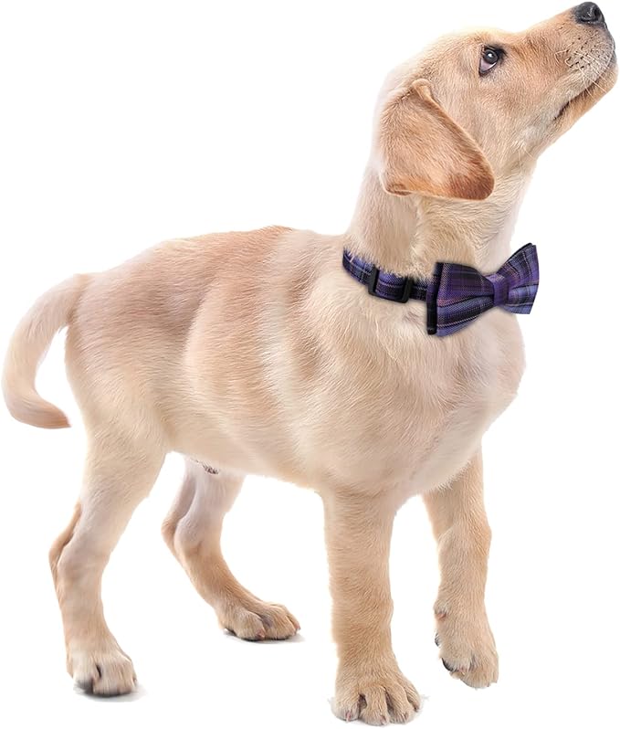 Faleela Soft &Comfy Bowtie Dog Collar,Detachable and Adjustable Bow Tie Collar,for Small Medium Large Pet (Purple, Small (Pack of 1))
