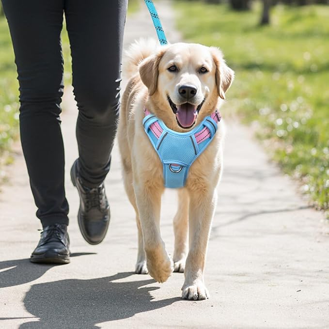 BARKBAY No Pull Dog Harness Large Reflective Dog Harness with Front Clip and Easy Control Handle for Walking Training Running with ID tag Pocket(Baby Blue & Baby Pink,L)