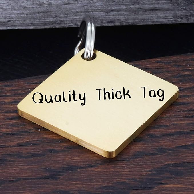 Ultra Joys Dog ID Tag, Custom Dog Tag Personalized Cat Tag, Pet ID Tag, Brushed Stainless Steel Diamond Dog Tag Gold Large