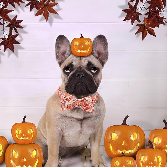 Halloween Dog Collar, Pet Collar Dog Bow Pumpkin Girl Boy Holiday Pet Collar Gift Cute Soft Puppy Collar for Medium Dogs