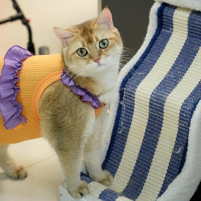 Cat Recovery Suit,Kitten Onesie After Surgery,E-Collar Alternative for Abdominal Wound and Skin Diseases,Soft Breathable Bodysuit After Spay(Orange-s)