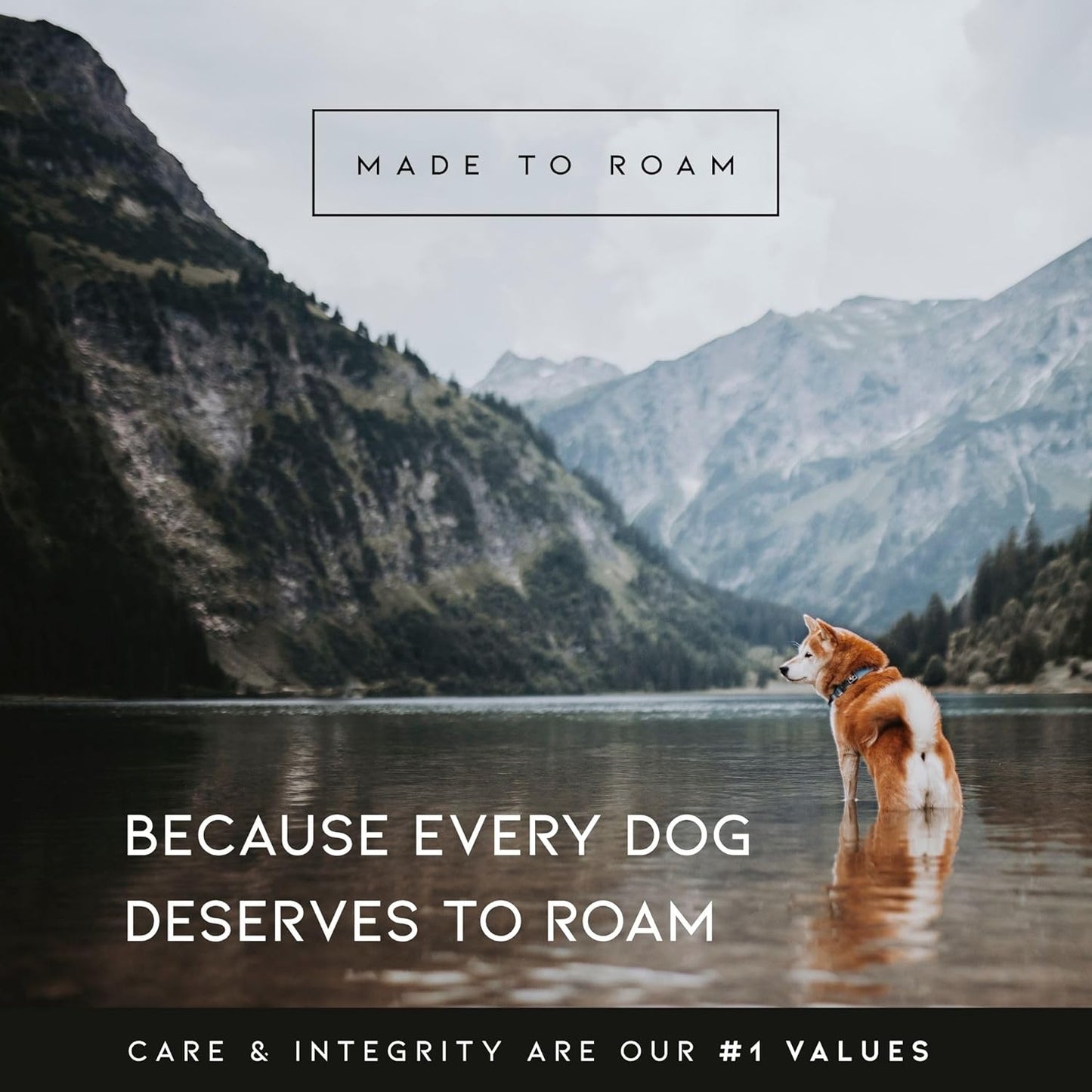 MADE TO ROAM Premium Explorer Harness - Y-Shaped Dog Harness with Adjustable Durable Nylon, Soft Padding, Metal Buckles and Leather Handle for Small, Medium, Large Dogs (Vermont Weekends, Size 6)
