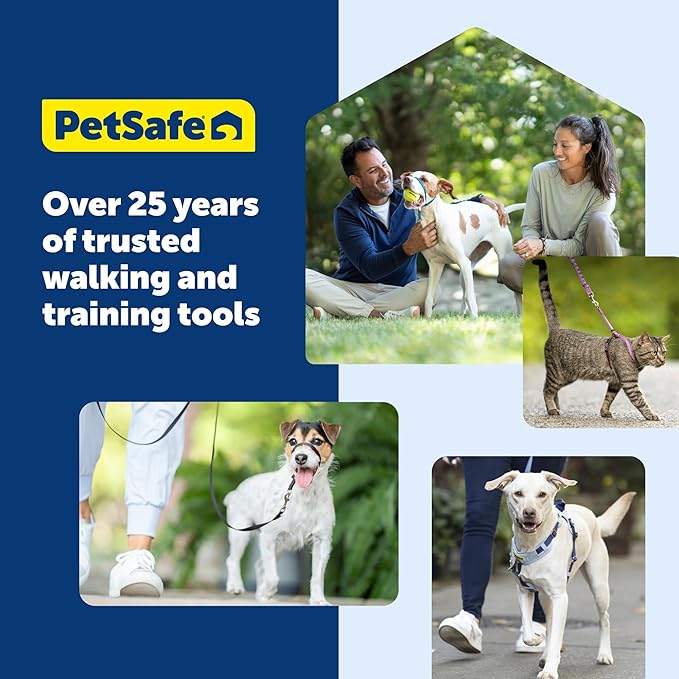 PetSafe Nylon Leash - Everyday Use Dog Leash - Lightweight Nylon - Quick Attach - Durable Pet Lead - 3/4" Wide - 6 Foot - Red