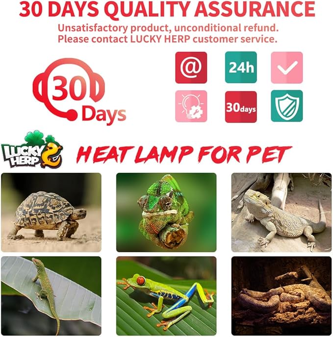 LUCKY HERP Infrared Heat Lamp 100W 2 Packļ¼Reptile & Amphibian Basking Spot Light Bulbs, Red Heat Lamp Bulbs for Reptiles, Bearded Dragon, Turtle, Lizard, Snake, Chicken