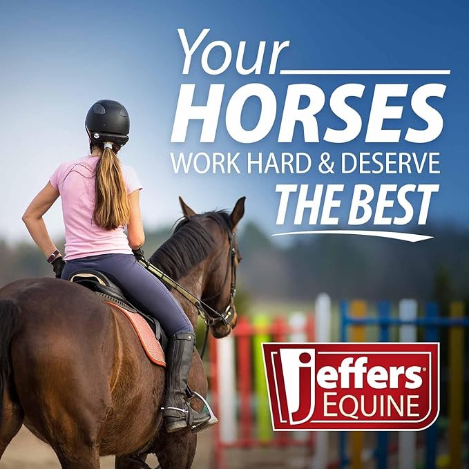 Jeffers Horse Fleece Polo Wraps 4 Pack and Equine Health Record 1 Pack Kit – Leg Wrap Accessories for Training Riding Turnout Stable, Hoof Care Tracker, Equestrian Horse Supplies - Black
