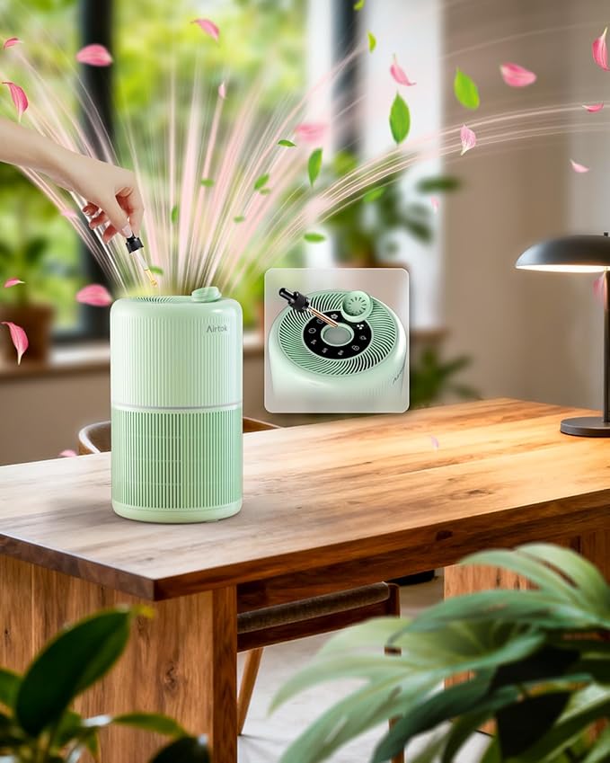 2 Pack Air Purifier for Home Bedroom