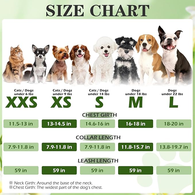 EXPAWLORER Easter Small Dog Harness - Dog Collar and Leash Set - Soft Mesh Padded Adjustable Step in Puppy Vest Harness No Pull, Reflective Escape Proof for Outdoor Walking, Bunny Egg S