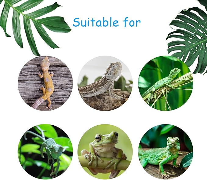 4 PCS Crested Gecko Coconut Hide Natural Lizard Coco Hut Reptile Hanging Nest Flexible Vine Habitat Decoration Bearded Dragon Terrarium Accessories for Tortoise Chameleon Snake Spider