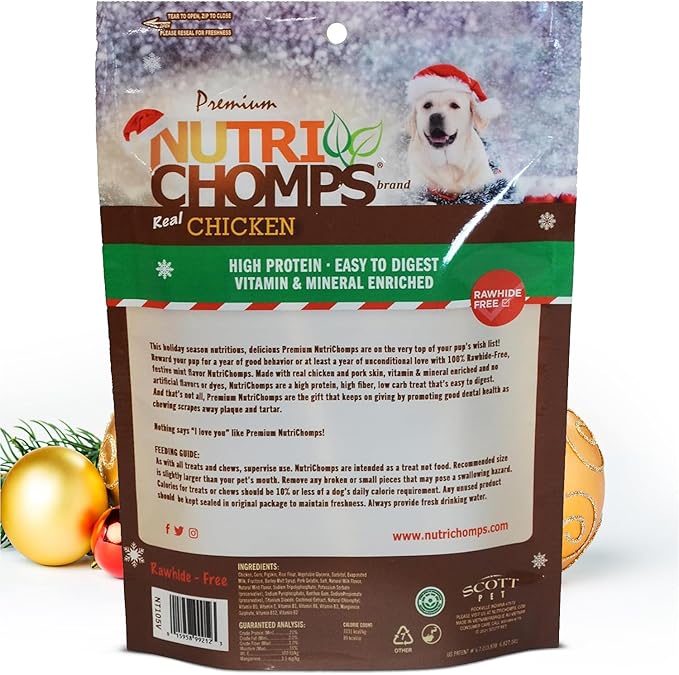 NutriChomps Dog Chews, 5 inch Twists, Mint Flavor, 10 Count, Easy to Digest, Rawhide Free, Holiday Stocking Stuffer Treats, Christmas Gift for Dogs