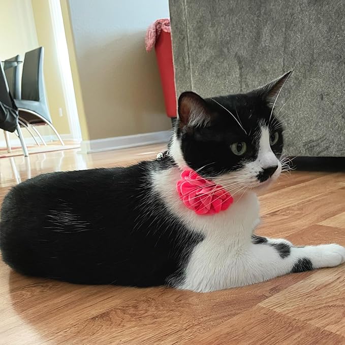 azuza 2 Pack Cat Collar Floral with Bell and Removable Flower Bowtie Breakaway Adjustable Velvet Fabric Cat Collar for Pets and Daily Decoration, Light Pink & Dark Pink