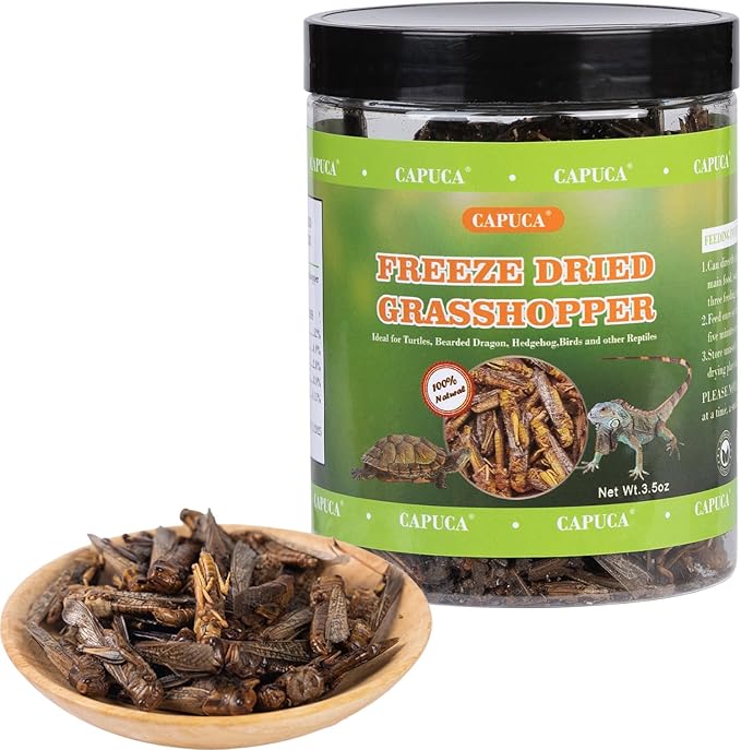 Dried Grasshoppers Reptile Food All Natural - High Protein Dried Insects Treats for Bearded Dragons Turtles Geckos Lizards Hedgehogs Chameleon Birds(3.5 OZ)