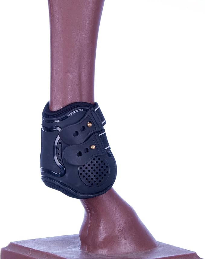 Jeffers Equine English Ankle Boots Large – Premium Horse Leg Protection, Ventilated Neoprene, Adjustable & Comfortable Support, Lightweight & Durable for Training, Jumping & Riding – Black (Pair)