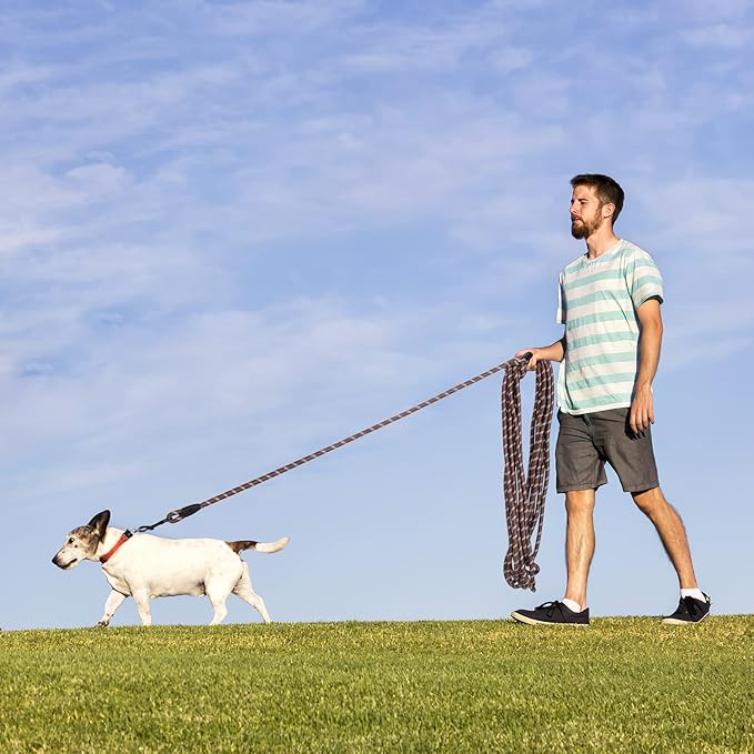 Long Dog Leash for Training 20Ft-Reflective Nylon Rope with Swivel Hook-Recall Agility Lead for Large Small Medium Dogs Outside Walking Hiking-Brown Diam 1/2"