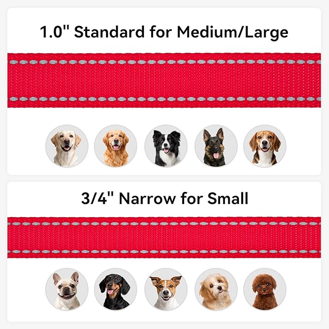 Joytale Dog Leash, 5 FT Double-Sided Reflective, Padded Handle Nylon Heavy Duty Leashes for Medium & Large Dogs Walking, Red