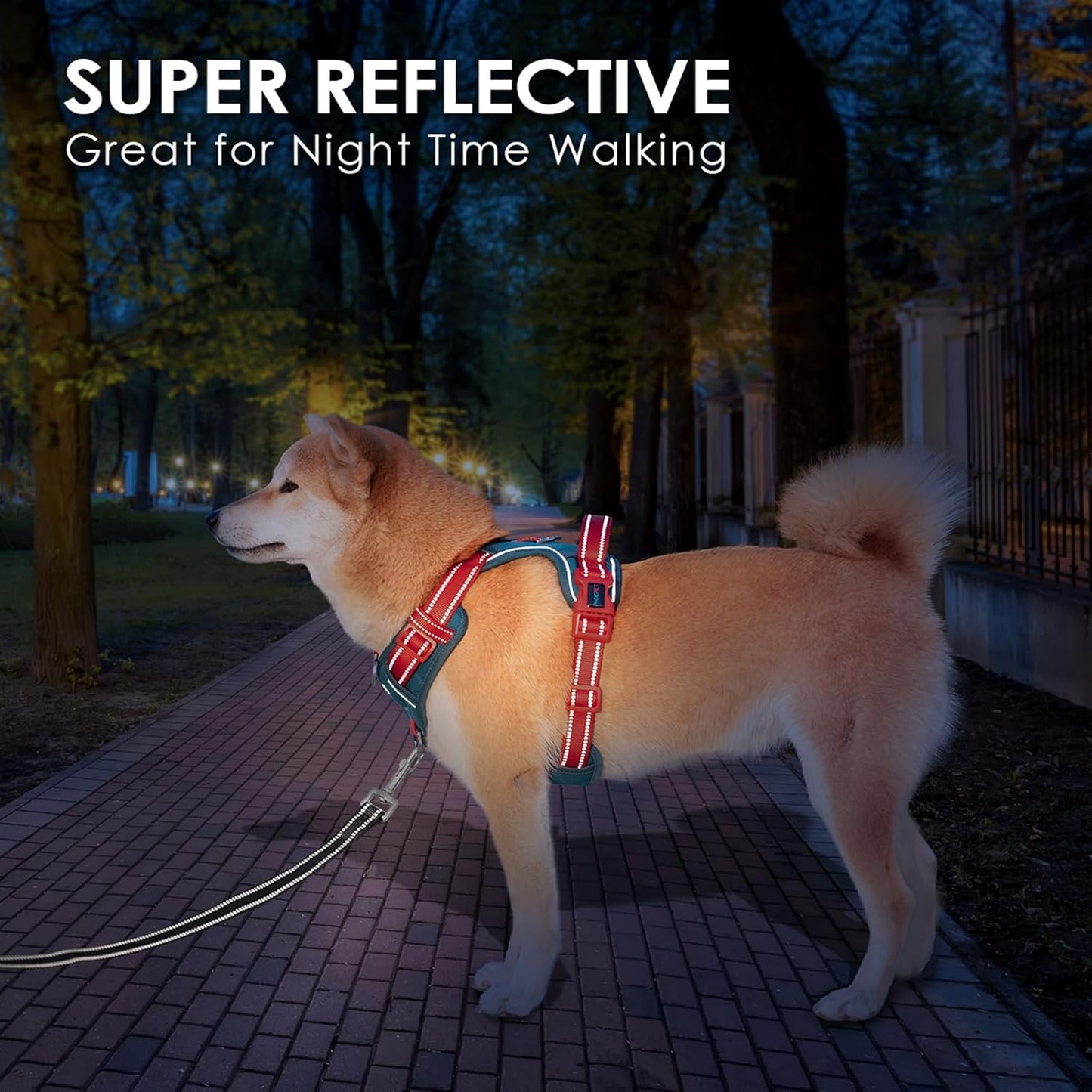 PHOEPET No Pull Dog Harness, Unique Colors Reflective Adjustable Dog Vest, with Soft Training Handle Metal Clips for Small Medium Large Dogs (Teal Base & Red Straps,S)