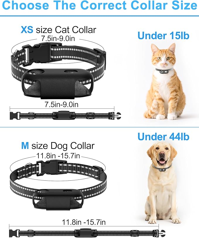 Cat Camera Collar with Phone APP, 1080P HD Video Recording Pet Camera Collar â Lightweight Pet POV Cam for Curious Cats & Adventurous Pups