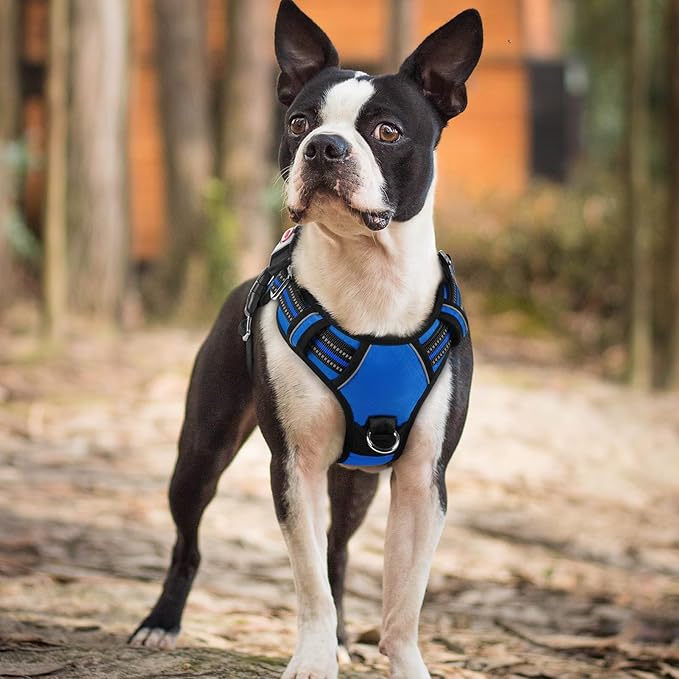 rabbitgoo Dog Harness Small Sized, No Pull Dog Vest with 3 Buckles, Adjustable Soft Padded Pet Harness with Easy Control Handle and Reflective Strips, Royal Blue, S