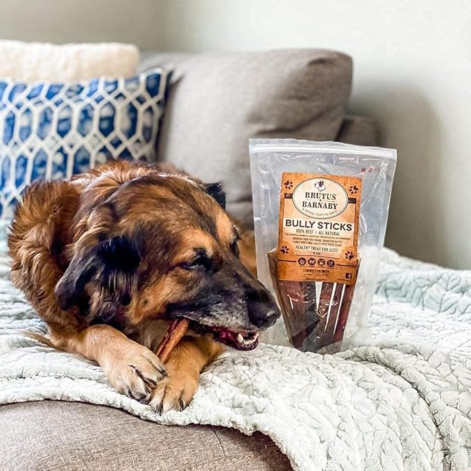 BRUTUS & BARNABY 12 Cow Ears + 12 Bully Sticks, All Natural Protein Dog Treats