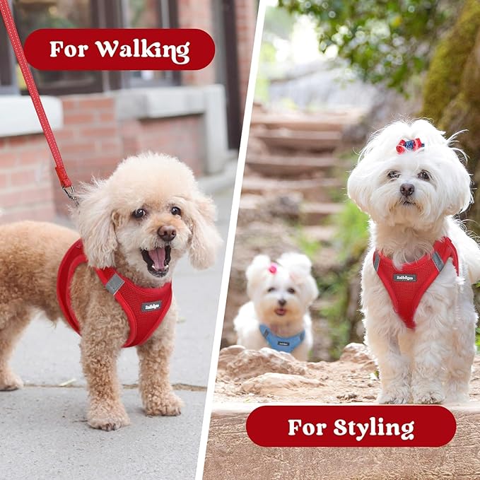 rabbitgoo Small Dog Harness, Step-in Soft Mesh Puppy Vest with Safety Buckle, Breathable Reflective Pet Harness for Small Medium Dogs, Red L