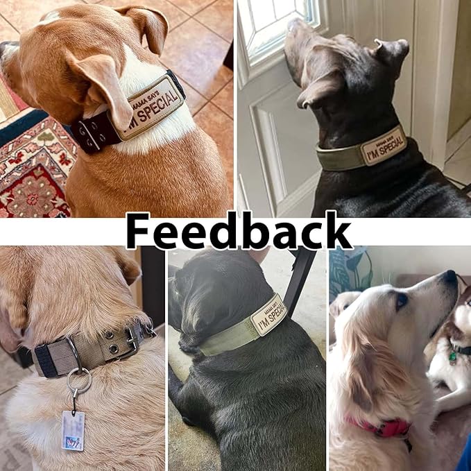 Tactical Dog Collar Military Adjustable Dog Collars Soft Nylon Training Collar with Patch Heavy Duty Metal Buckle Collars for Medium Large Dogs (Blue, L)
