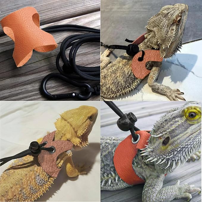 Leopard Gecko Travel Carrier,Bearded Dragon Travel Backpack with Harness and Leash Set,Space Capsule Clear Bubble Window Astronaut Reptile Carrier Backpack, Airline Approved