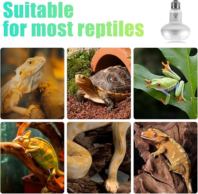 Reptile Heat Lamp 2Pack 75W, Intense Basking Spot Light Bulb with UVA, Simulate Natural Daylight Heat Bulb for Reptile, Turtle, Bearded Dragon, Lizard, Tortoise, Gecko, Snake