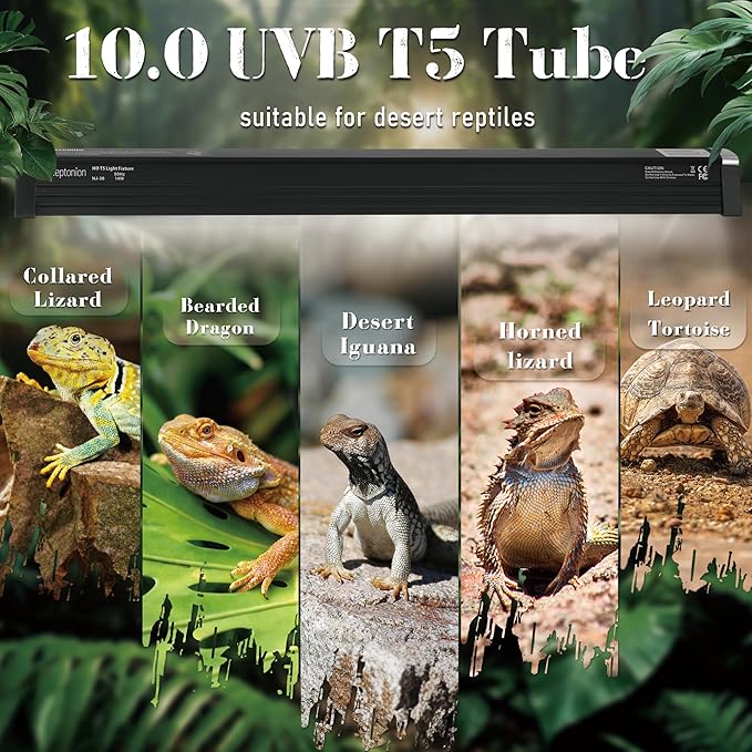 T5 Reptile UVB Light 6.5 Inches Fixture with UVB 10.0 Bulb High Output Hood for Terrariums, Basking Reptiles, Lizards, Chameleons, Iguanas, Bearded Dragons, 4W
