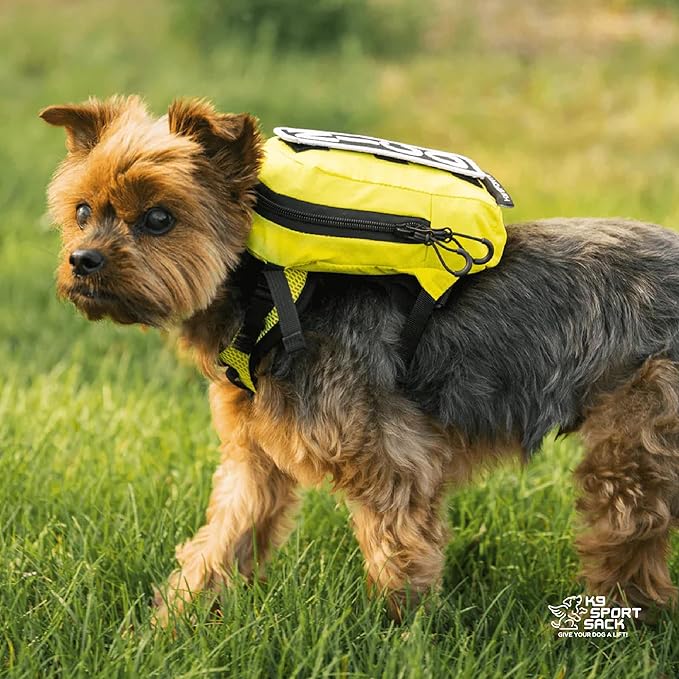K9 Sport Sack Walk-On | Dog Carrier Dog Backpack with Harness & Storage (Large, Sunset Orange)