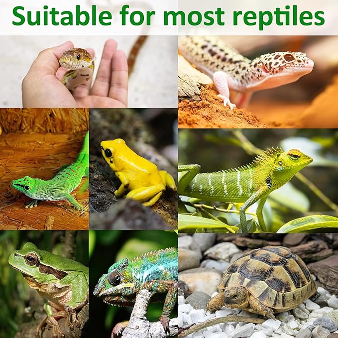 Halatool 2Pack Reptile Carpet 12โ X 30โ Coconut Fiber Mat for 20 Gallon Reptile Tank Thick Terrarium Bedding Cage Liner Tortoise Habitat Accessories for Turtles Lizard Bearded Dragon Leopard Gecko