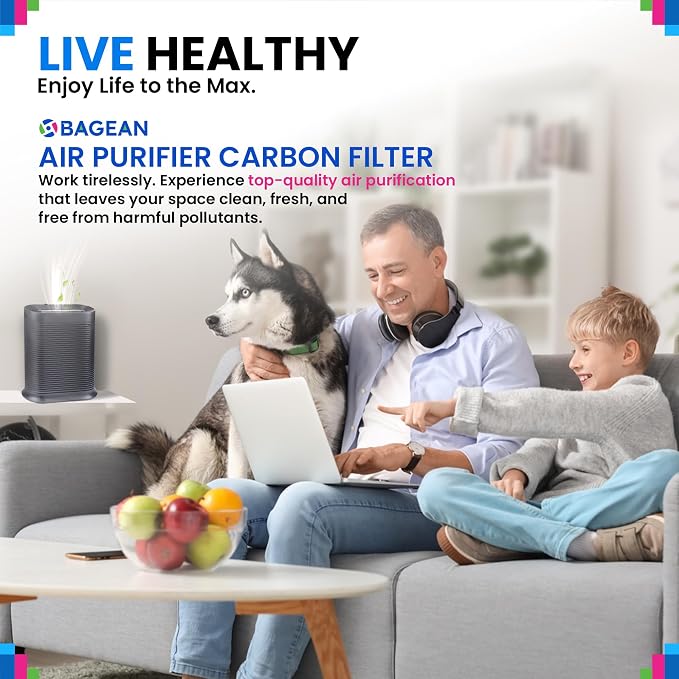 Bagean HPA300 Carbon Pre Filter A Compatible