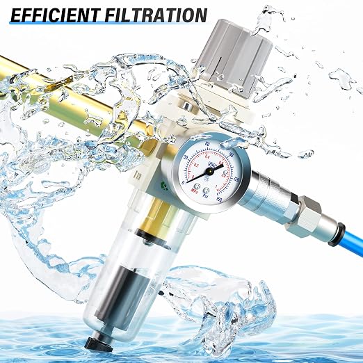 TAILONZ PNEUMATIC 1/4 Inch NPT Automatic Drain Air Filter Pressure Regulator