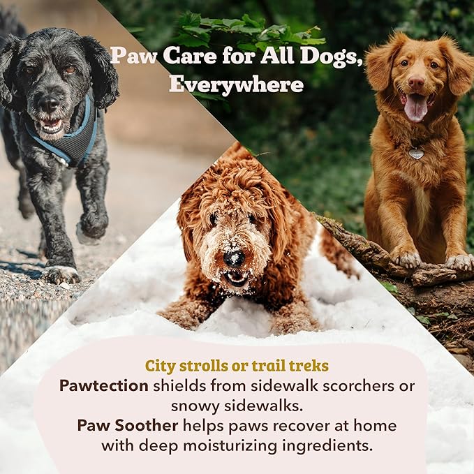 Natural Dog Company PawTection Balm for Dogs, Dog Paw Protector, Moisturizing Dog Paw Balm for Dry, Cracked Pad, Protects Paw from Extreme Weather, Paw Lotion for Allergies & Itching (2 oz Tin)