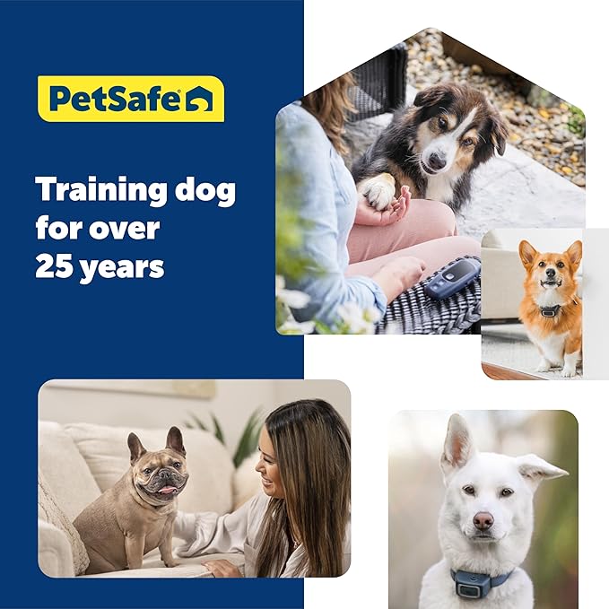 PetSafe Clik-R Training Tool – Clicker Trainer for Dogs – Positive Reinforcement – Dog Training Marker – All Stages of Life – Ergonomic Design – Clear Click Sound