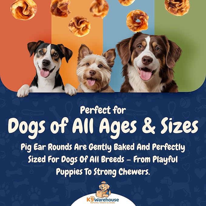 K9warehouse Premium Natural Pig Ears Rounds Packed in USA - 50 Count Pig Ears for Dogs Large - Tasty Pigs Ear Dog Treats - Bulk Pig Ears for Large/Small Dogs - Ideal Dog Pigs Ears Made for Training