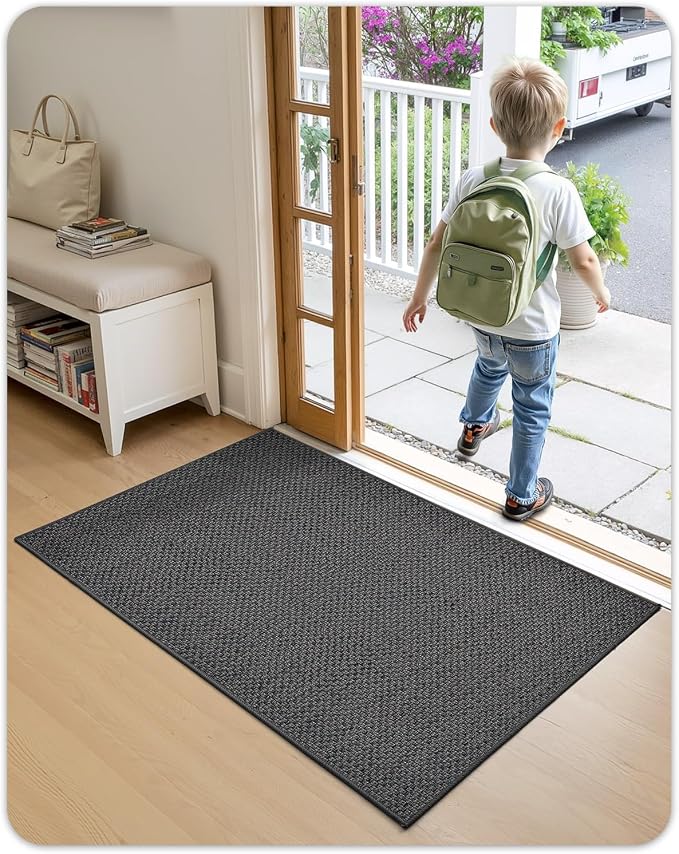 Color&Geometry Ultra-Thin Indoor Door Mat, Washable Doormat