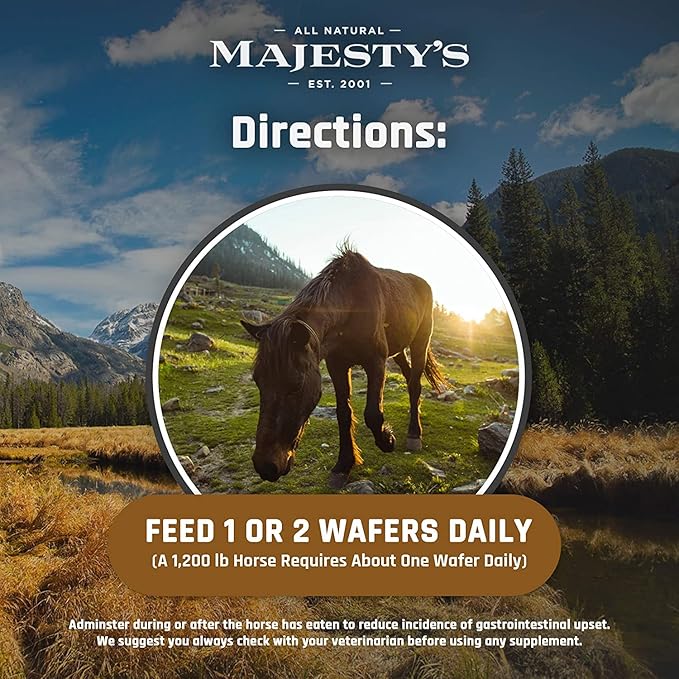 Majesty's BIO+ Biotin Wafers - Superior Horse/Equine Hoof and Coat Support Supplement - Copper, Zinc, Lysine, Methionine (2 Pack(120 Count Total))