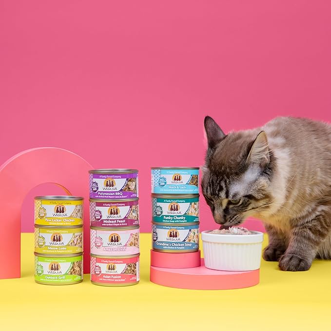 Weruva Classic Cat Food, Grandma?S Chicken Soup with Chicken Breast & Veggies, 5.5Oz Can (Pack of 24)