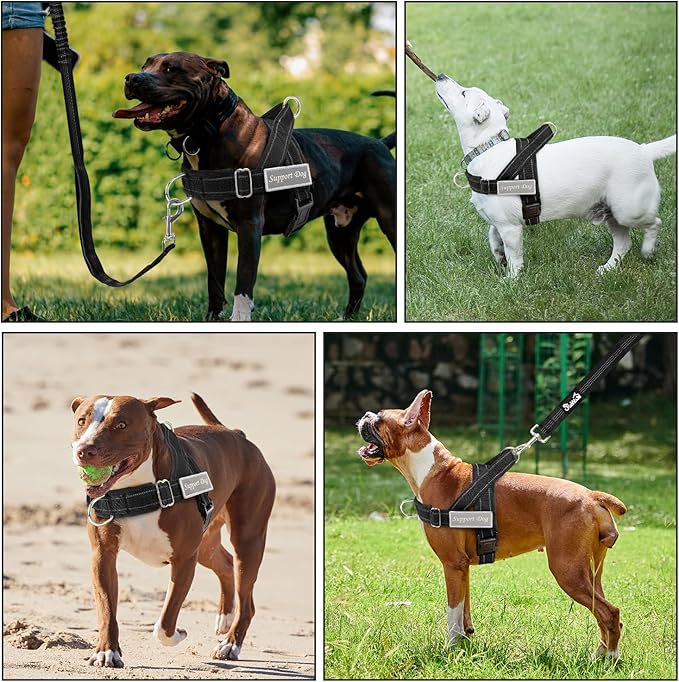 SlowTon No Pull Dog Harness - Heavy Duty Dog Harness and Leash Set for Medium Large Dogs, Reflective Tactical Harness with Soft Padded and Front Clip for Easy Walk and Training (B, M