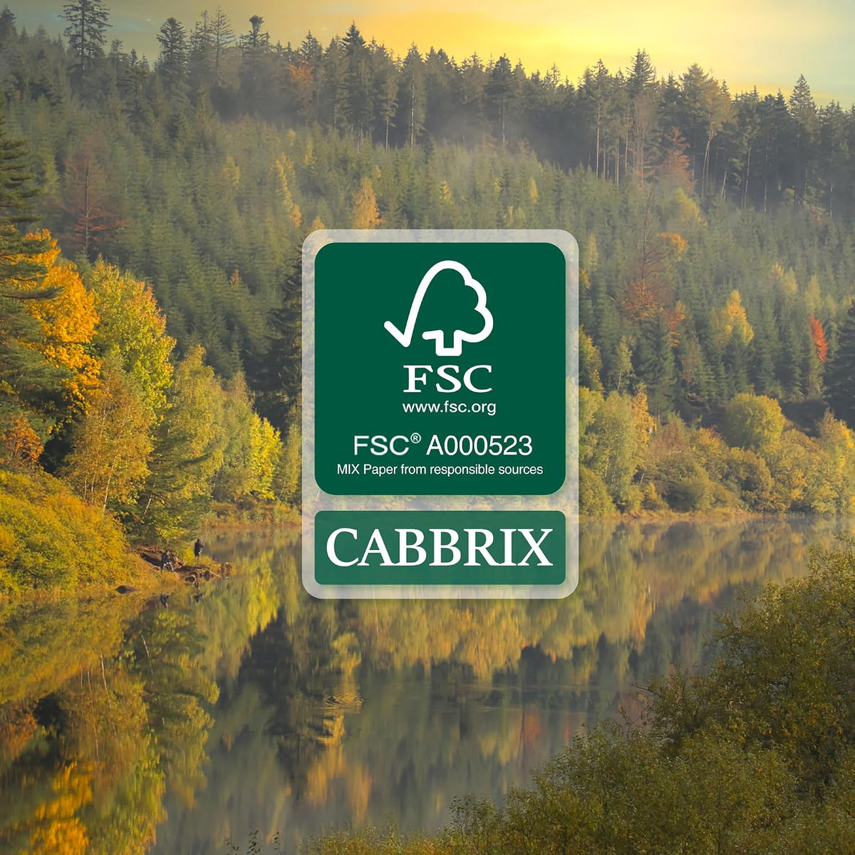 Cabbrix Desk Calendar 2027, Large Desk Pad Calendar 22 x 17" (Green)